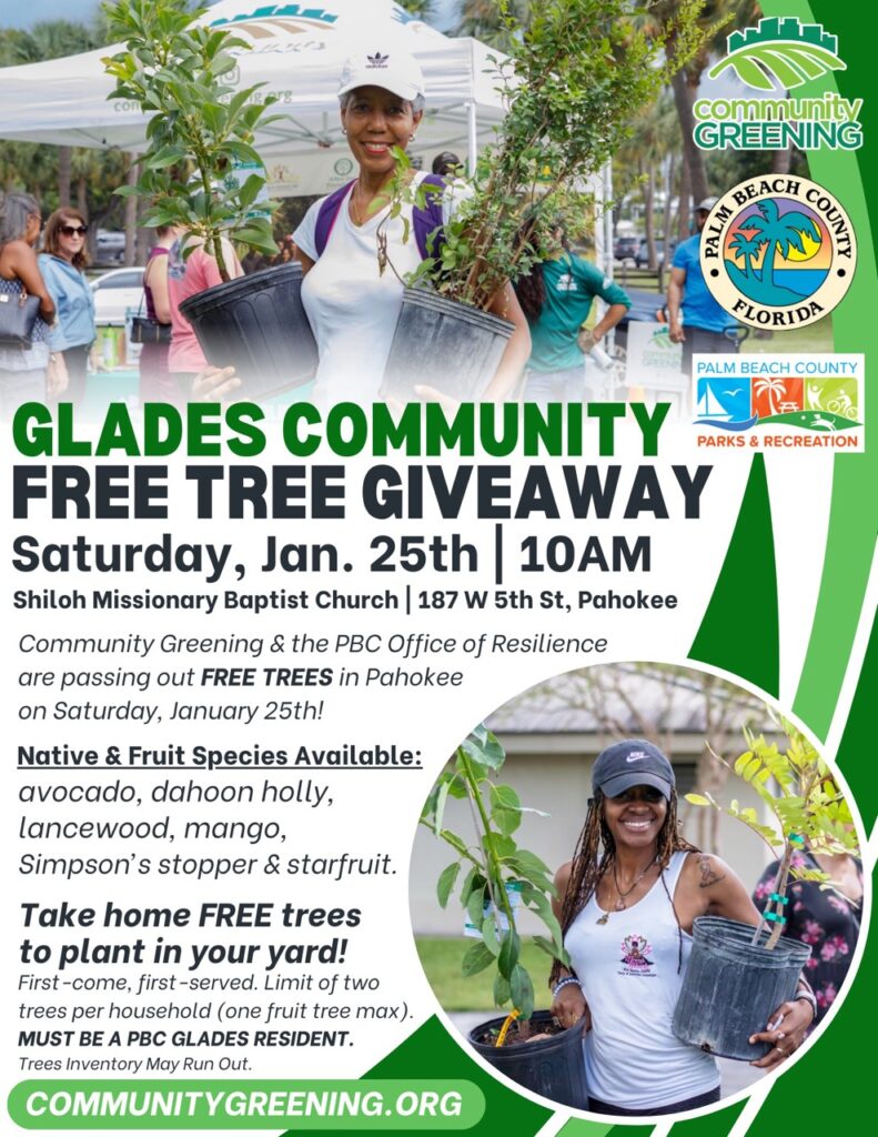 Pahokee Tree Giveaway Flyer