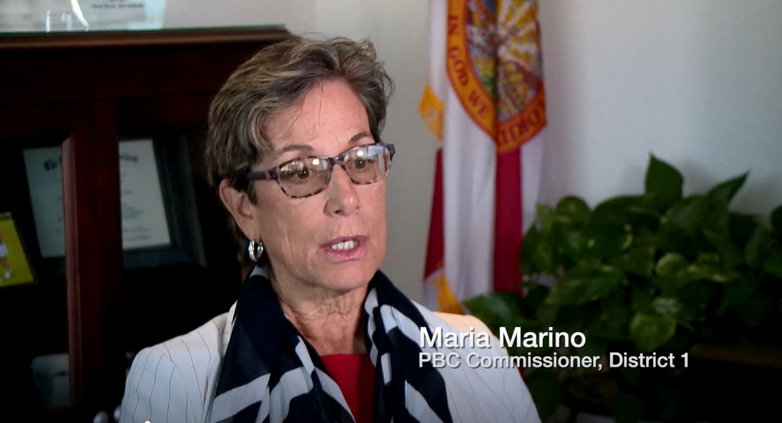 Commissioner Maria Marino, District 1