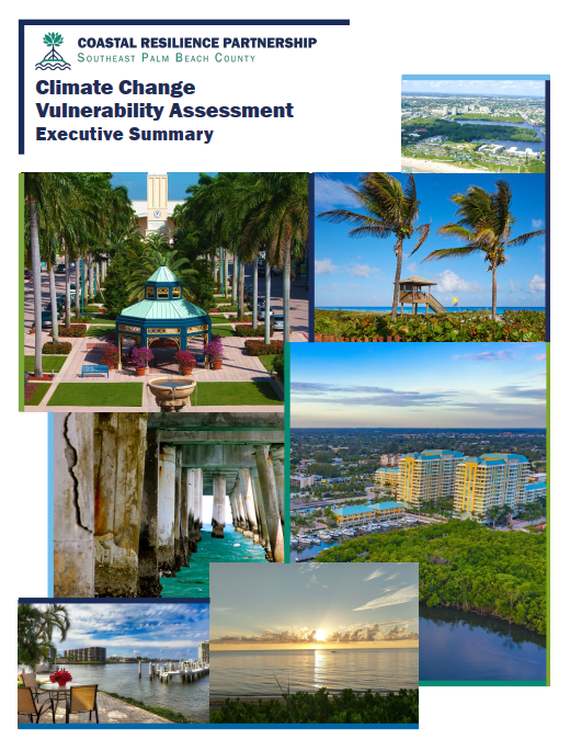 Vulnerability Assessment Executive Summary Cover