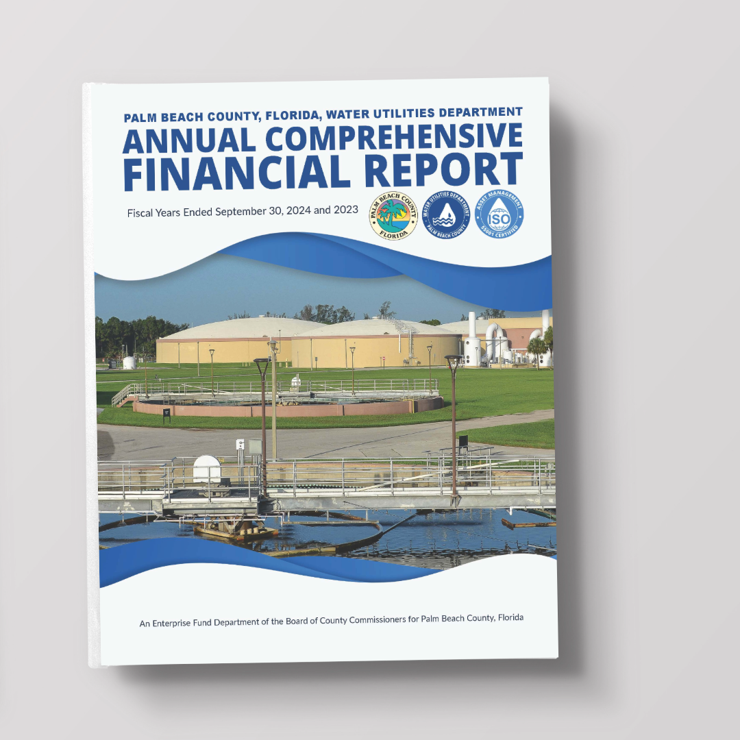 Picture of report cover