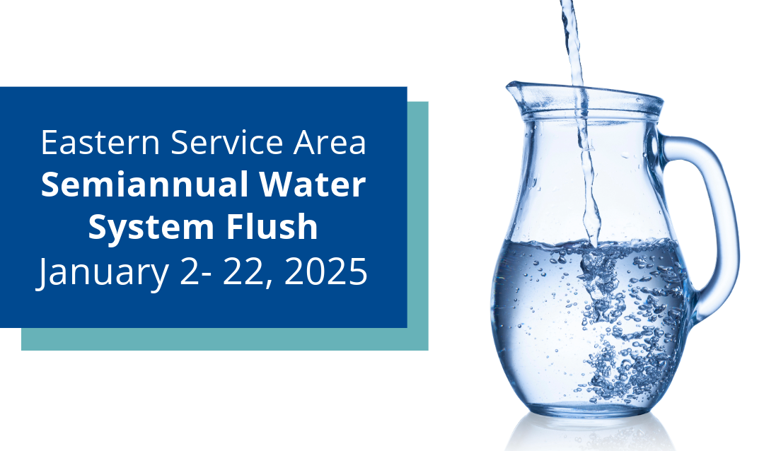 chlorine flush begins January 2, 2025