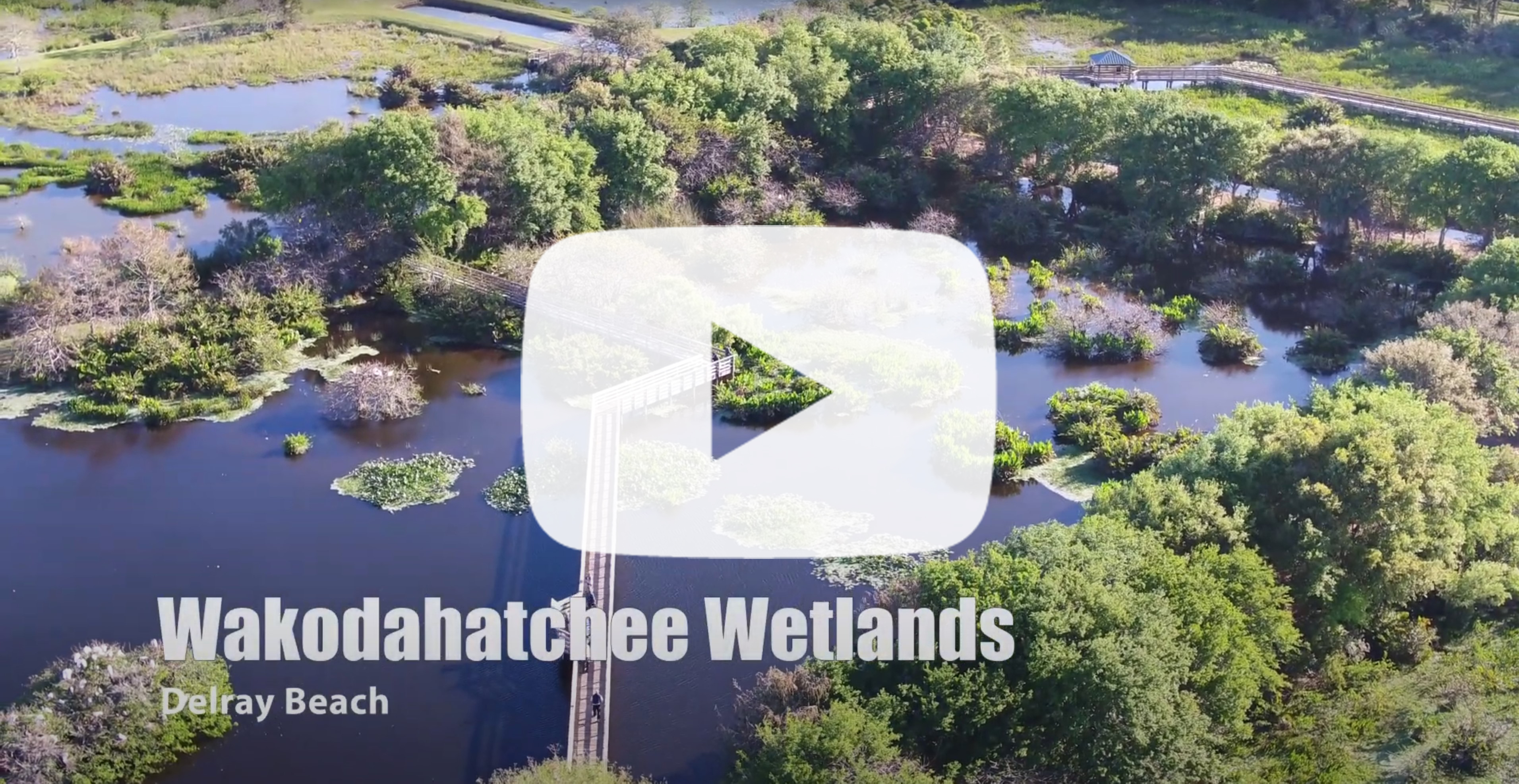 Aerial photo of Wakodahatchee Wetlands