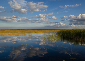Lake Okeechobee Watershed Restoration