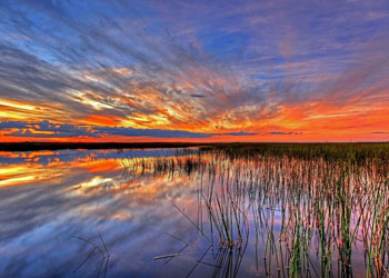 Everglades Restoration