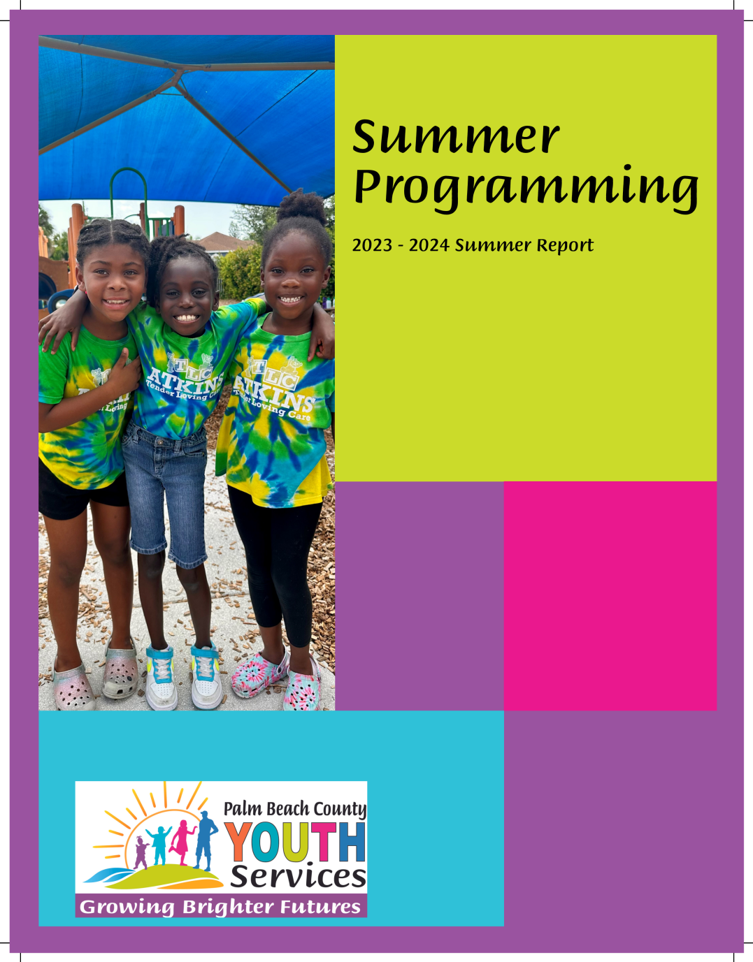 2022 Annual Summer Programming Report