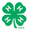 4 H Logo - 4 leaf clover