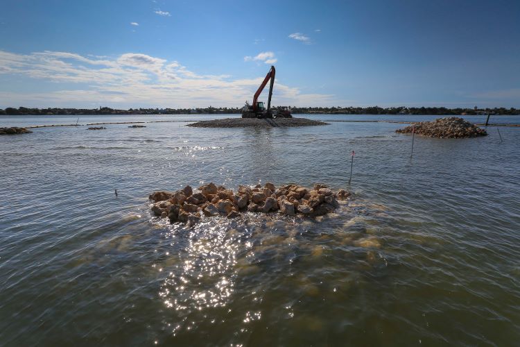 Environmental restoration at Palm Beach Resilient Island in Lake Worth Lagoon Estuary