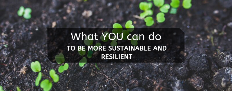 What you can do to be more sustainable and resilient - garden soil with sprouts in background